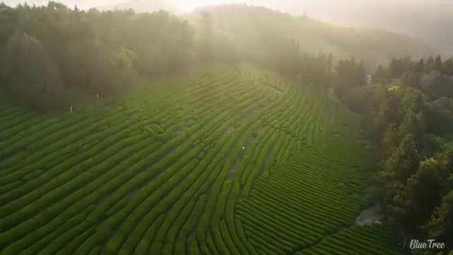  렌트 , 최저가 모든견적 수수료 0% 주의사항