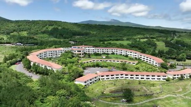  눈썹 반영구 수영 , 눈썹문신 오픈 준비한다면? 무조건 합격해야 하는 자격증! 구체적으로 보고싶다면