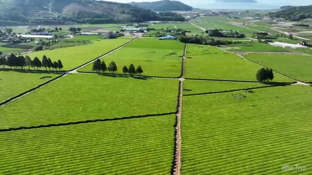  미생물 액상분해 음식물쓰레기 처리기 렉시퀸 ~ 내가 추천드리는 까닭 !