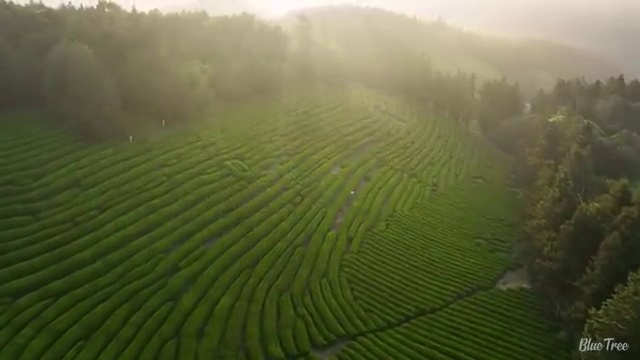  아동심리 바우처 , 아동심리상담사 자격증 시험준비 요점정리