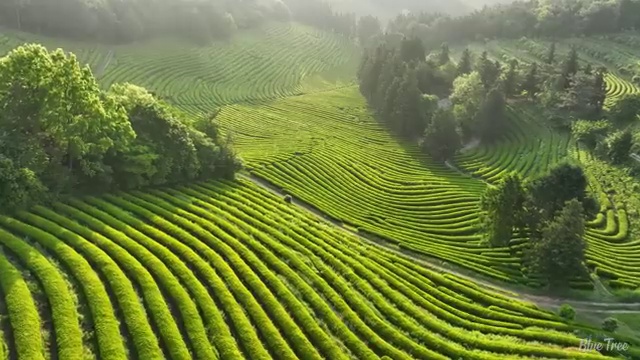  방수산업기사 응시자격 온라인 수업으로 1학기에 완료한 방법