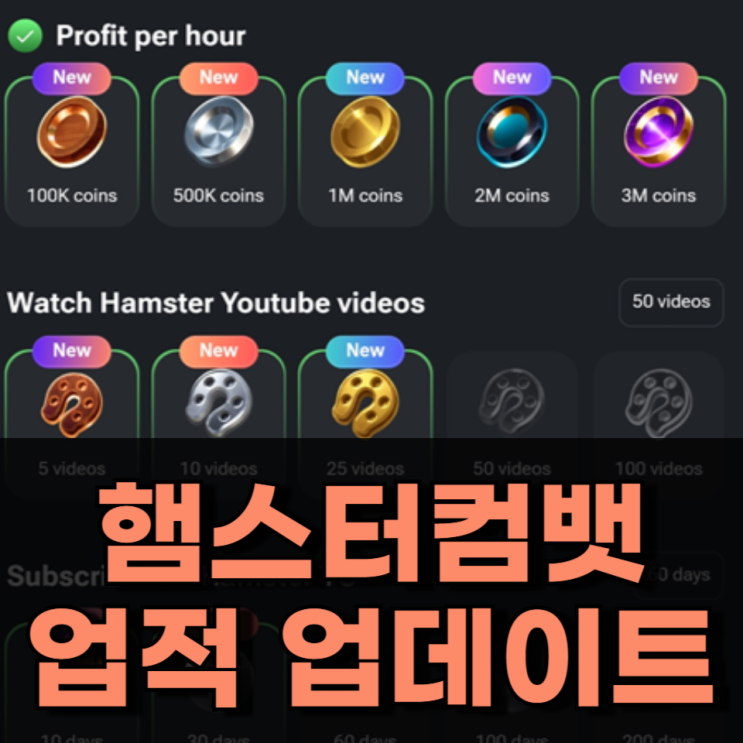 햄스터 컴뱃 업적 및 스킨 업데이트 24.08.02 햄스터 컴뱃 업적 및 스킨 업데이트 24.08.02