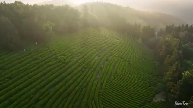  대기환경산업기사 자격요건 온라인 수업으로 반 년만에 준비한 팁