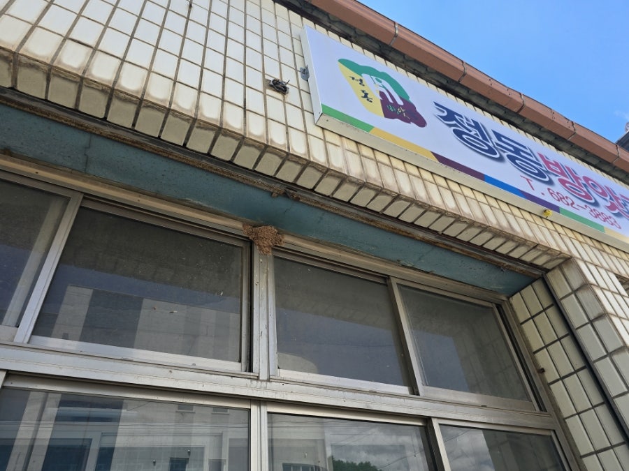 입암한식뷔페 사진 3