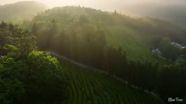  서초구 내곡동 세면대휴지막힘 bye bye!