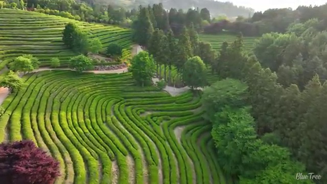  원주 사회복지사2급 중년 직장인도 온라인으로 편하게