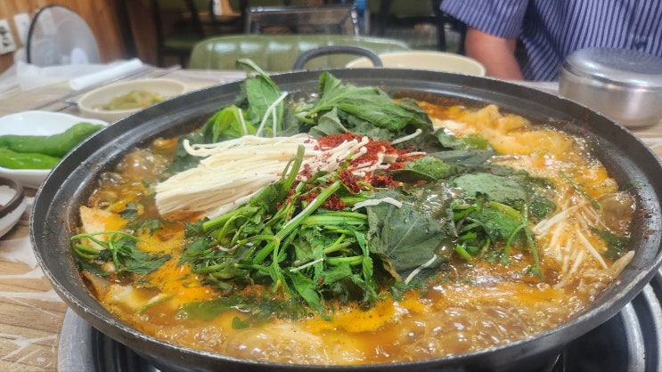  호강녀 #63 신탄진역 맛집 대전매운탕 "삼정식당"