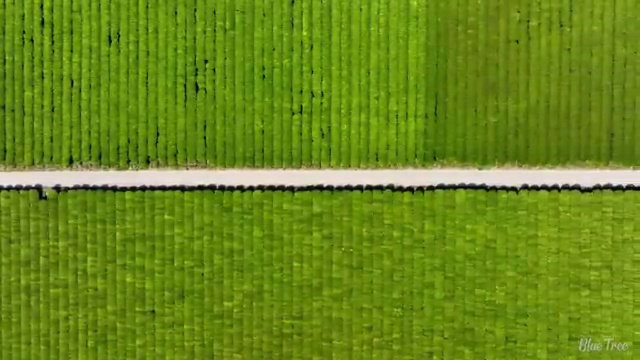  건설안전산업기사 시험 조건 건설안전산업기사 자격요건 집에서 온라인으로 1학기에 완료한 노하우