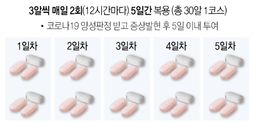 [전문적인 약 이야기(10)] <b>코로나 치료제</b>, 팍스로비드... 