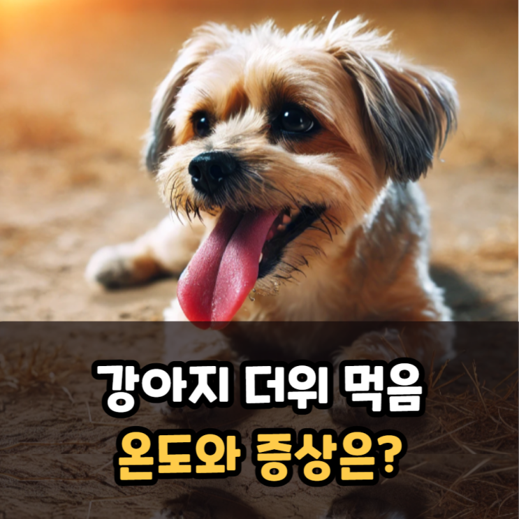  강아지 더위 먹음 온도와 증상은?