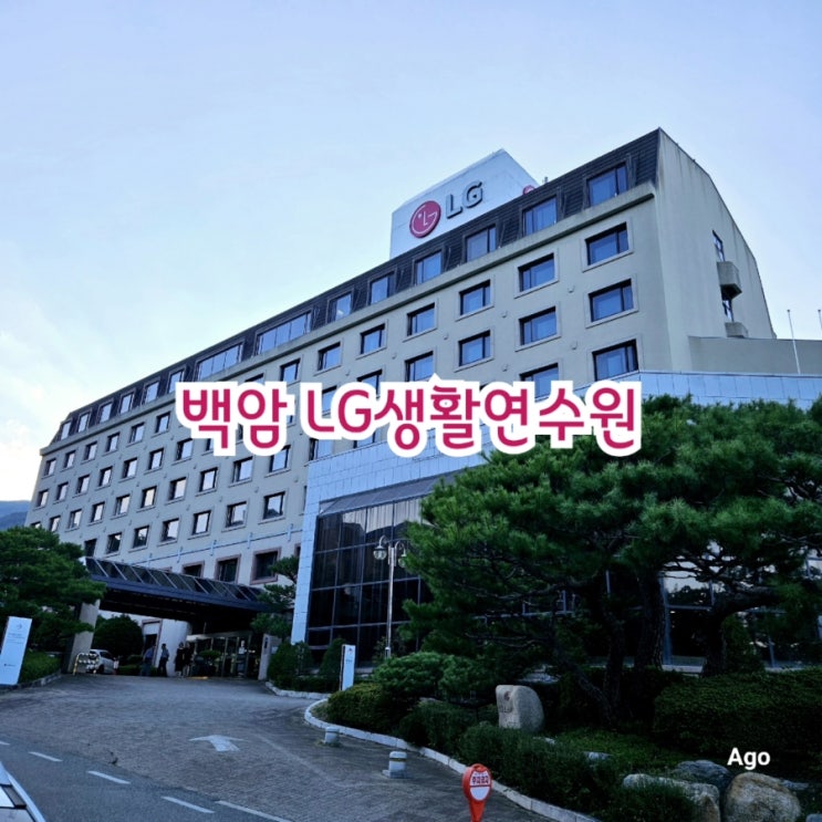  울진가볼만한곳 LG생활연수원 feat 백암온천