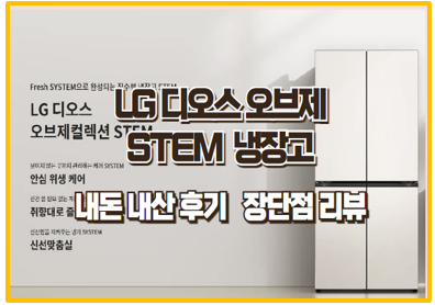  LG 디오스 STEM 베이직 냉장고 내돈내산 후기 I 사용후기 장단점 크래프트 아이스
