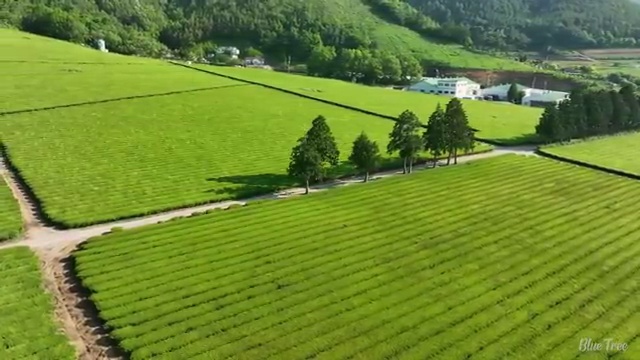  웨딩플래너업체 웨딩 스튜디오 추천 가이드 최고의 스튜디오는? , 웨딩박람회에서 결혼준비 세심하게
