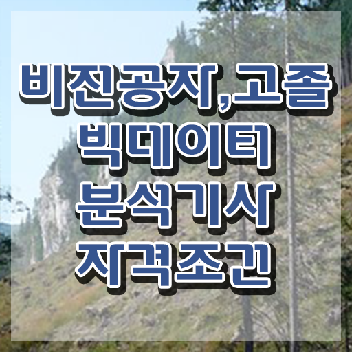  빅데이터분석기사 준비기간 빅데이터분석기사 응시조건 인강으로 간단하게 완료한 방법