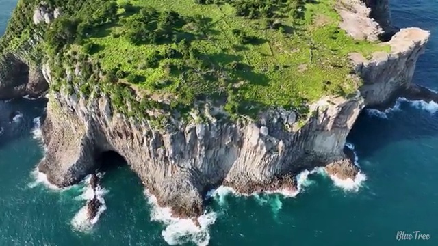  충남 사회복지학위학점은행제 ~ 사회복지사2급 학력 상관없이 온라인 과정으로 편하게