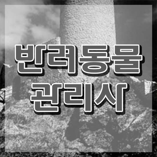  오산 강아지 훈련사 , 반려동물관리사 자격증 합격한 팁 정리해봤어요