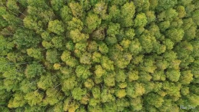  용인 온라인사회복지사자격증 , 사회복지사2급 직장인도 학은제 활용하여 간단하게