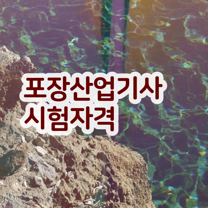  포장산업기사 응시자격 독학으로 5달만에 완료한 방법