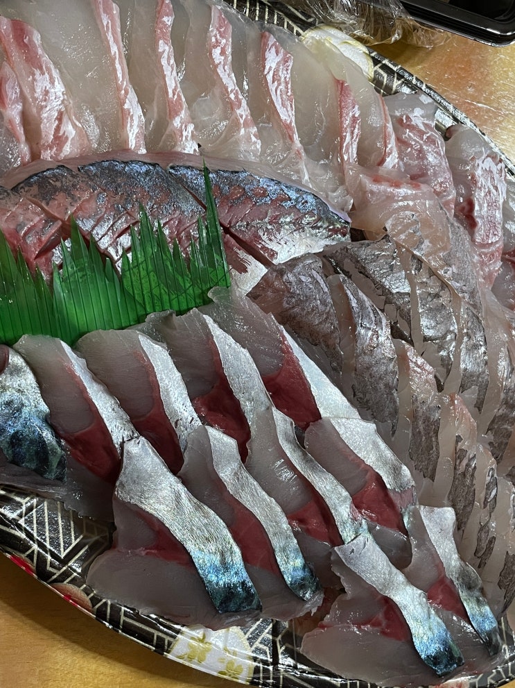  남해 고등회 맛집 [유서방회떠가시다]