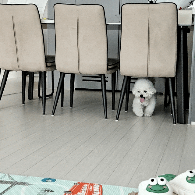 24.07.31 까지 일상 (살구 빙수 집청소 양구 복숭아 샤브샤브)