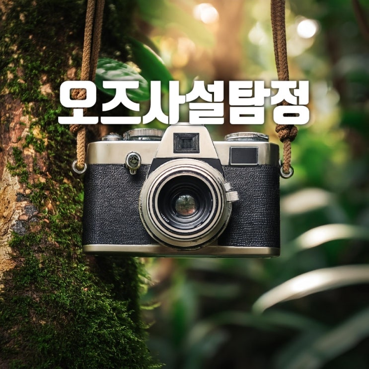  동탄사설탐정 화성시사설탐정 증거수집이 필요할때는 오즈사설탐정이 해결해 드립니다.