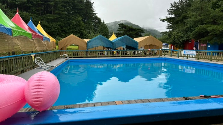 남양주 마운틴뷰관광농원 이용요금 샤워실 계곡 수영장 후기