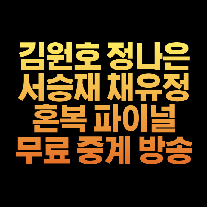 김원호 정나은 배드민턴 무료 생중계 경기시간 혼합 복식 결승전 무료 중계 생방송 서승재 ....