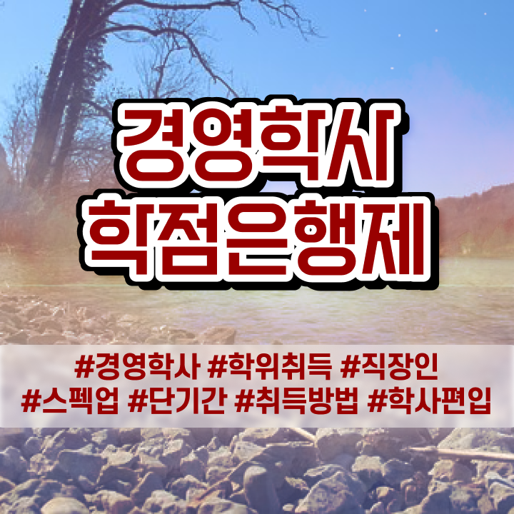  경영학 책 , 경영학 관련학위 없어도 쉽고 빠르게 성공한 방법