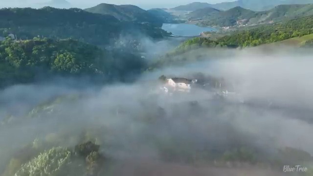  렌트 , 유지비 효율성 가격 및 혜택 알아보기