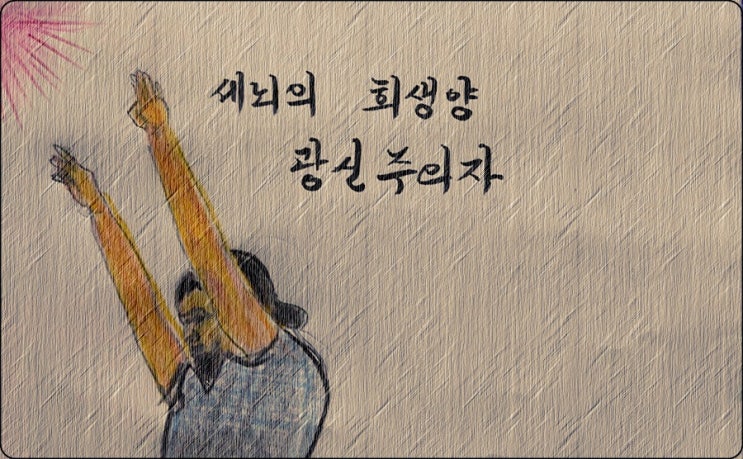  세뇌의 희생양인 광신주의자의 탄생  - 페터 비에리 著 《삶의 격》 해설 (41)