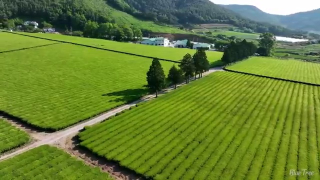  학점은행제 전문학사 , 계획표를 꼼꼼하게 관리해주는 학점은행제 학습플래너 확인해보세요