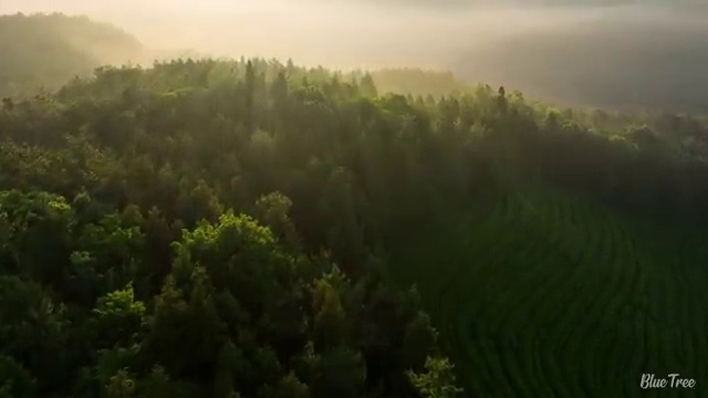  진주 사회복지사2급평생교육원추천 . 사회복지사2급 비전공자도 학은제로 간단하게