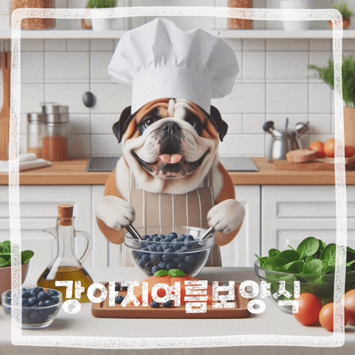  강아지 여름보양식 만들기  연어블루베리시금치 샐러드