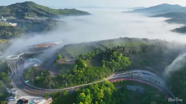  학점은행 편입 , 학점은행제 플래너 활용해서 희망하던 학사 학위 얻었어요