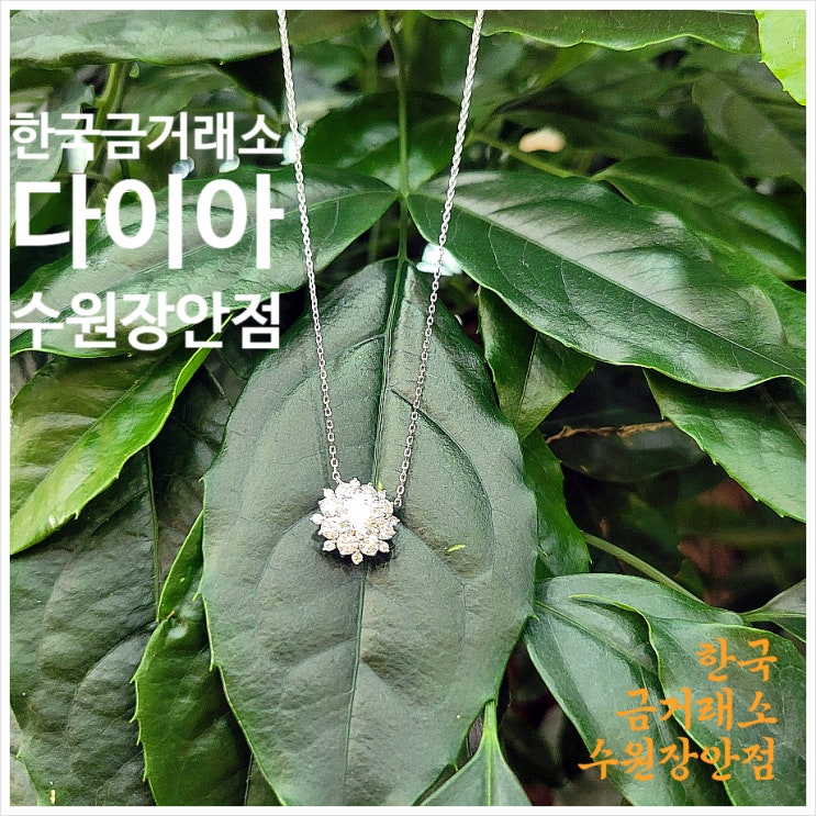 수원 한국금거래소 장안점 꽃을 닮은 다이아 목걸이
