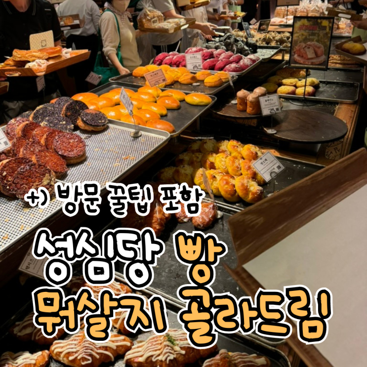 대전 성심당 본점에서 먹은 11종 모든 빵 매우 자세한 리뷰 및 추천, 방문 꿀팁