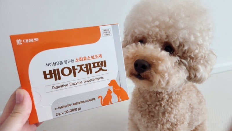 강아지췌장염에 도움이 되는 베아제펫 소화효소 강아지소화제