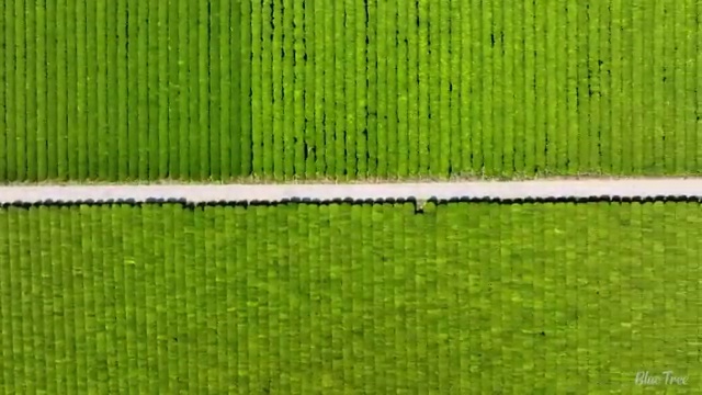 진주 사회복지사무료강좌 ? 사회복지사2급 경력없어도 학점은행제로 손쉽게