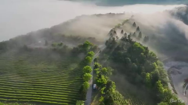  사회복지학과4년제 , 사회복지사 중년 직장인도 학점은행제로 편하게