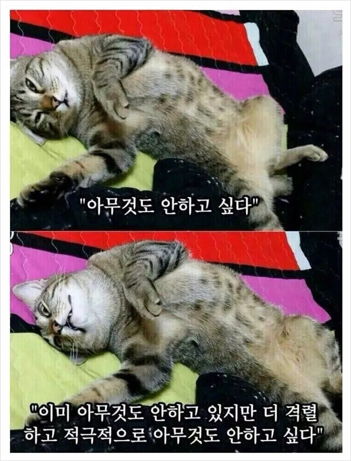  내가 휴가 와서도 글을 쓰는 이유. (feat.하안거 4일차)