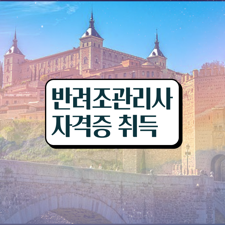  모란앵무 발목링 , 반려조관리사 자격증 온라인으로 취득한 정보 소개