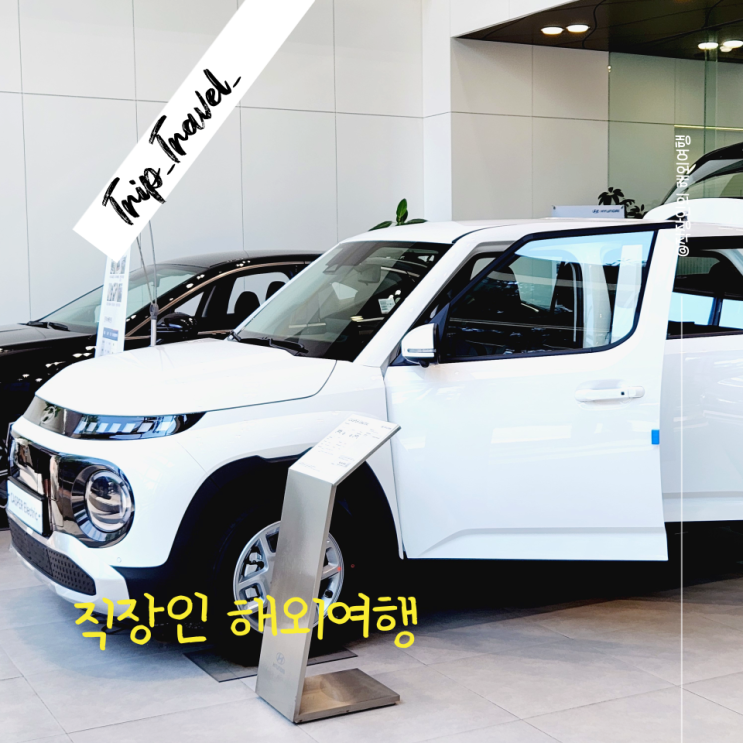  가성비 좋은 전기차 탐방기 쌍용 토레스, 기아 EV3 레이, 현대 캐스퍼