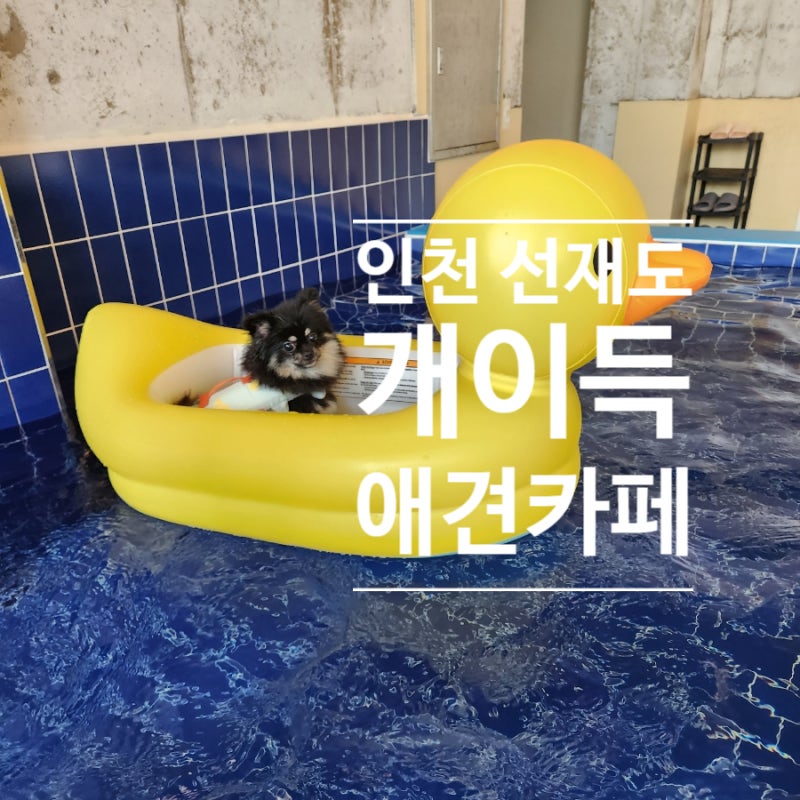 사진 3