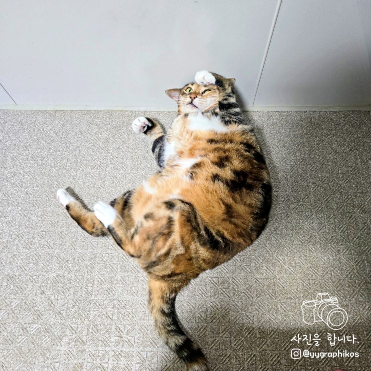  6주 차 : 짜릿해, 늘 새로워!