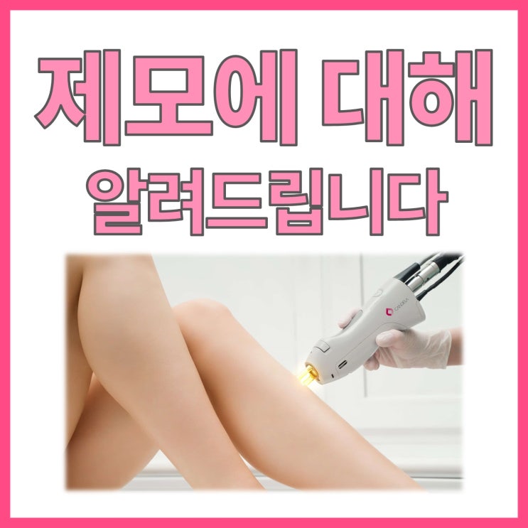  레이저 제모, 어떻게 선택해야 할까요? 여름철 털 고민 해결해 드립니다.