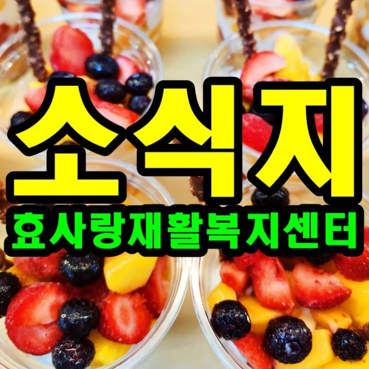  2024년 8월 소식지/프로그램계획표/식단표