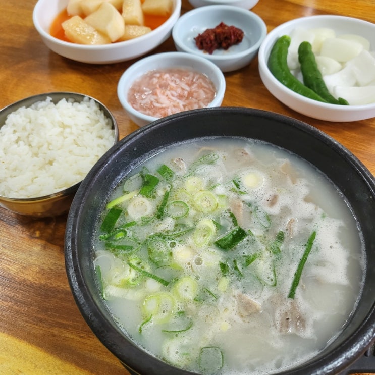  [대구 달성군 논공 맛집] 피순대국이 일품인 강산식당