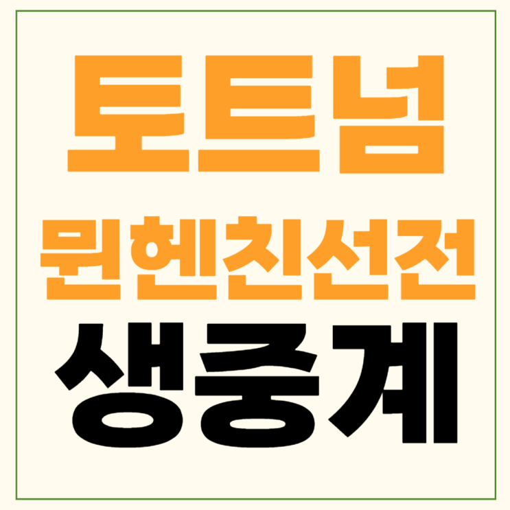 뉴<b>진스</b> 시축 2024년 8월 3일 FC... 조기 축구회 <b>손흥민 김민재</b> 일정