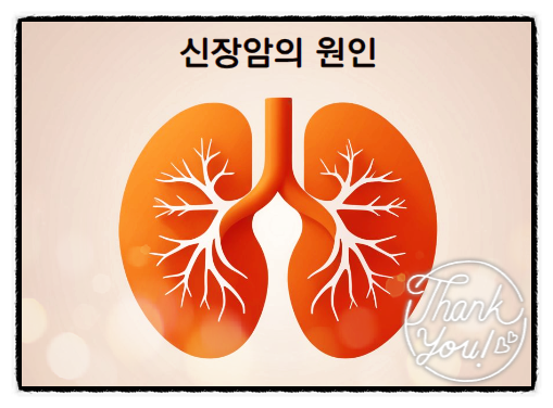  신장암 증상 조기 발견이 중요