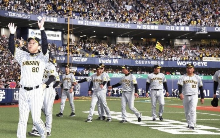 2024 NPB 일본프로야구 8/3일 센트럴리그 요미우리 야쿠르트 요코하마 한신 2024 NPB 일본프로야구 8/3일 센트럴리그 요미우리 야쿠르트 요코하마 한신